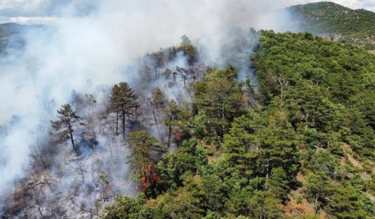 Balıkesir'deki yangın orman sıçradı