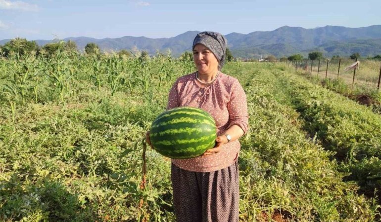 Beyağaç’ta ata tohumundan gelen bereket