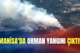 Manisa039da-orman-yangini-cikti-featured