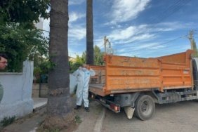 Marmaris039te-cop-ev-soku-Bir-kamyon-cop-ve-30039a-yakin-kedi-cikti-featured
