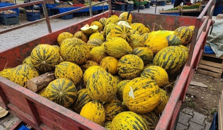 Tek damla su yok, bal gibi tat var: Asırlık miras tescil bekliyor