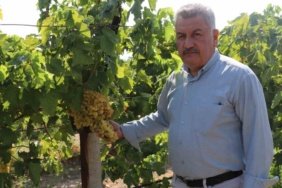 Tuccarin-acikladigi-dusuk-fiyata-tepki-gosteren-uzumculerden-TMOya-alim-cagrisi-featured